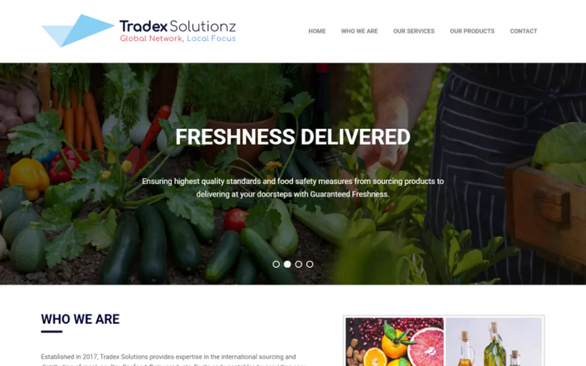Screenshot of the Tradex Solutions website