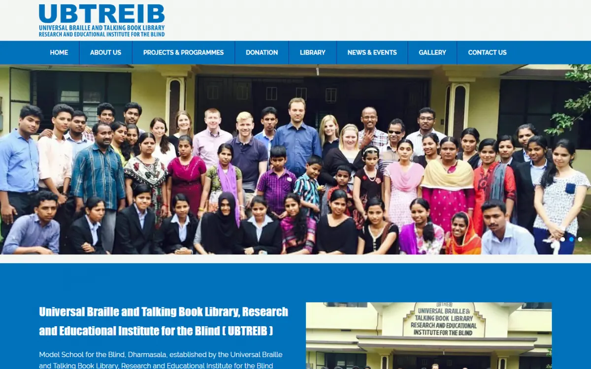 Screenshot of the UBTREIB website